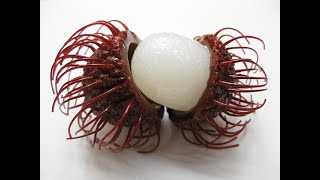 12 proven health benefits of rambutan [upl. by Akinet]