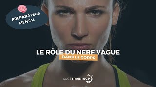 Le rôle du nerf vague dans le corps [upl. by Aivata]