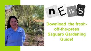 Three Tips on How to Nurture Saguaros [upl. by Madai]