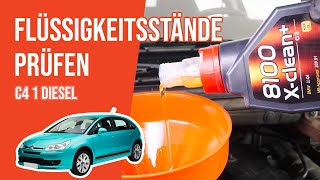 Die Flüssigkeitsstände prüfen Citroën C4 1 20 HDi 📏 [upl. by Richia898]