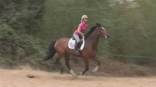 How To Position Your Horse To A Gallop [upl. by Gertrude]