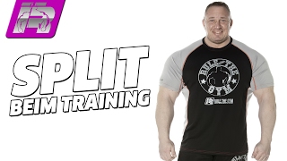 Der richtige TrainingsSplit bei Fitness und Bodybuilding [upl. by Sommer]