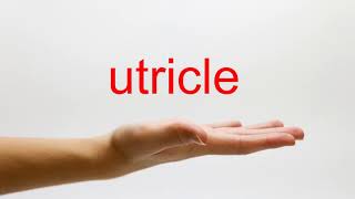 How to Pronounce utricle  American English [upl. by Modla]