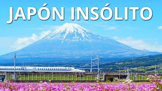 JAPÓN INSÓLITO  Las maravillas más alucinantes de Japón [upl. by Zap]