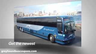 The new Greyhound Promo Codes [upl. by Nailuj]