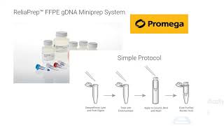 Extraction of DNA  Protocol and Explanation  PCI methodCauliflower and Fresh Goat Liver [upl. by Fleeman135]