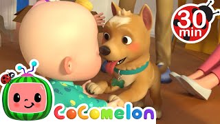 CoComelon  BINGO  Learning Videos For Kids  Education Show For Toddlers [upl. by Matheson]