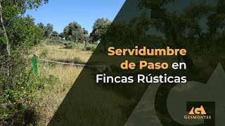 Servidumbre de Paso en Fincas Rústicas [upl. by Thorncombe459]