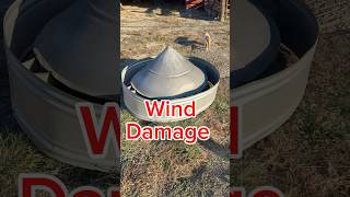 Farm life is full of surprises wind damage farmlife goatfarming livestock oldbarns cupola [upl. by Frasco]