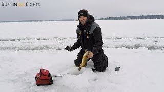 Minnesota Ice Fishing Trip Jigging Walleyes  Tire Blows Out [upl. by Drain819]