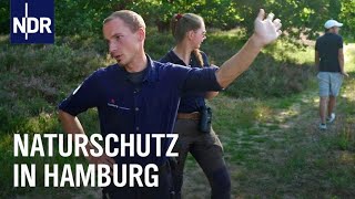 Auf Streife mit Hamburgs Naturschützern  Die Nordreportage  NDR Doku [upl. by Nauj722]