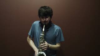 Selmer Mark VI Silver Alto 207953  Saxqeust Videos [upl. by Lewis]