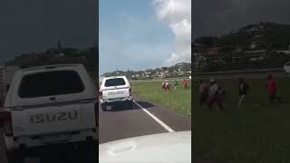 Looters pounce on beer truck on N2 at uMgababa offramp [upl. by Ateinotna933]