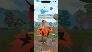 Galarian Birds in Master League pokemonGo [upl. by Salim]