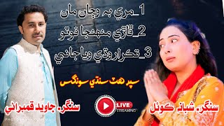 New Sindhi Song 2024  New Sindhi Song  Sad Song  Shabana Koyal  Javed Kambrani  Sindhi Song [upl. by Tonneson]