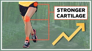 How to strengthen your cartilage [upl. by Dinesh]