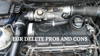 EGR Delete Explained  9 Major Pros And Cons [upl. by Fougere]