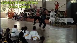 Seminario  taller palo largo Artes Marciales [upl. by Bari]