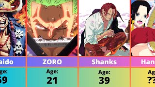 Age Breakdown Who Are the Oldest Characters in One Piece  Part 1 [upl. by Eolhc]