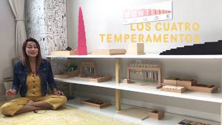 LOS CUATRO TEMPERAMENTOS [upl. by Minnnie]