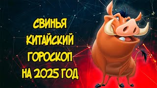 СВИНЬЯ Китайский Гороскоп на 2025 год [upl. by Duma782]