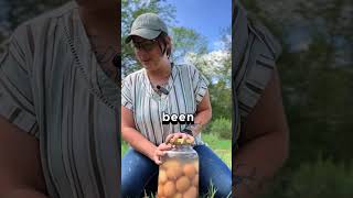 Water Glassing Chicken Eggs ❌FAIL❌ homesteading chicken waterglass [upl. by Crenshaw]