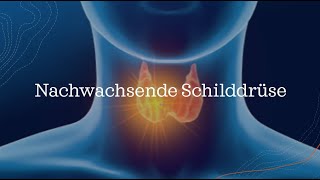 Nachwachsende Schilddrüse [upl. by Aleek]