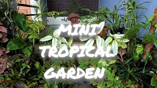 CREATING A TROPICAL GARDEN🍀🌿 garden gardening [upl. by Llamaj]