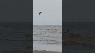 Kitesurf Rimini 20 ottobre [upl. by Sigismund774]