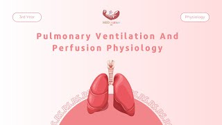 Pulmonary Ventilation And Perfusion Physiology  Physiology [upl. by Montford]