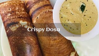 Dosa Batter Recipe  Dosa Pindi  Crispy Dosa Batter  dosa recipe at home [upl. by Judie]