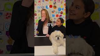 Candy thats dog food 🤔 shorts short youtubeshorts youtubeshort funny fyp viralvideo viral [upl. by Ramal]