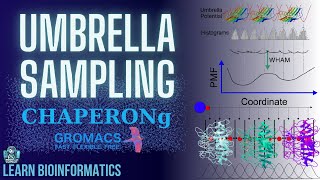 Umbrella Sampling in Gromacs  MD Simulations with CHAPERONg [upl. by Llennaj]