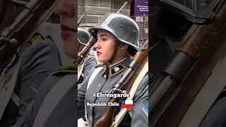 Chile vs Deutschland  die Ehrengarde 🦅🇩🇪wachbataillon bundeswehr militär tradition garde [upl. by Gereron]