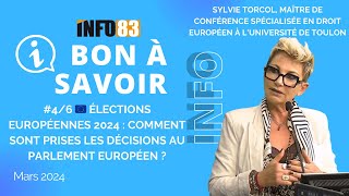 46 Elections Européennes 2024  comment sont prises les décisions au parlement  Sylvie Torcol [upl. by Ahsert]