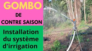 irrigation du gombo de contre saison  mise en place du système darrosage  épisode 1 [upl. by Hajile608]