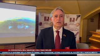 La conoscenza dellamarone con lonav Molise  Trsp  news del 111024 [upl. by Quentin]