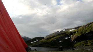 Black flies in the Mealy Mountains Labrador [upl. by Nea]