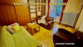 Mammut közelében garzon lakás kiadó I Budapest II kerület [upl. by Tessy572]