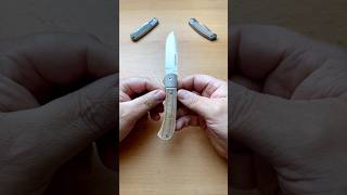 Tuya Tortuga V2 knifeshorts knifereview knifegallery knifecommunity knifeclub [upl. by Gaillard]