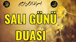 Salı Günü Duası  Çünkü Biz Ona Şahdamarından Daha Yakınız Kâf Suresi16Ayet [upl. by Erbma803]