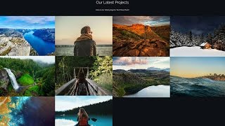 How to setup Shapely theme Portfolio section [upl. by Nomelc815]