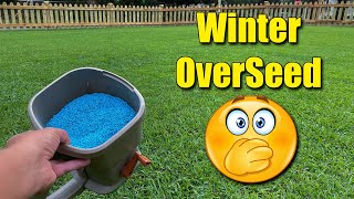 Winter Over Seeding Your Lawn  The problems [upl. by Neelon]