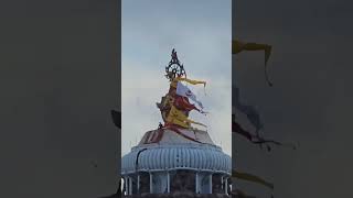 Shri ⭕️‼️⭕️Jagannath mandir flag change puri purijagannadh krishna krishnastatus viralshorts [upl. by Nawak]