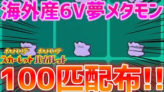 【ポケモンSV】海外産6V夢メタモン100匹配布するぞ！！ [upl. by Names542]