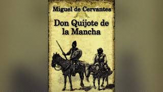 📚 Capítulo 6 Audiolibro Don quijote de la mancha Del donoso y grande escrutinio que el cura y el ba [upl. by Aelc]