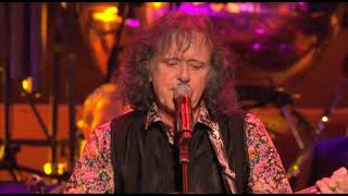 Donovan  Sunshine Superman Live at The Royal Albert Hall [upl. by Eilatan]