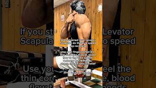 Strained Levator Scapulae Speedy Recovery Exercise [upl. by Niatsirhc797]