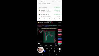 Rimsa mcx World is live Xauusd interday trading Stretegy [upl. by Ahsya]