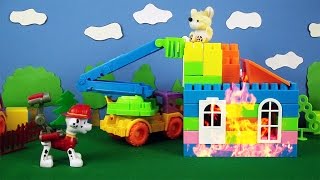 Paw Patrol Pups helfen Milly der Maus [upl. by Steel]